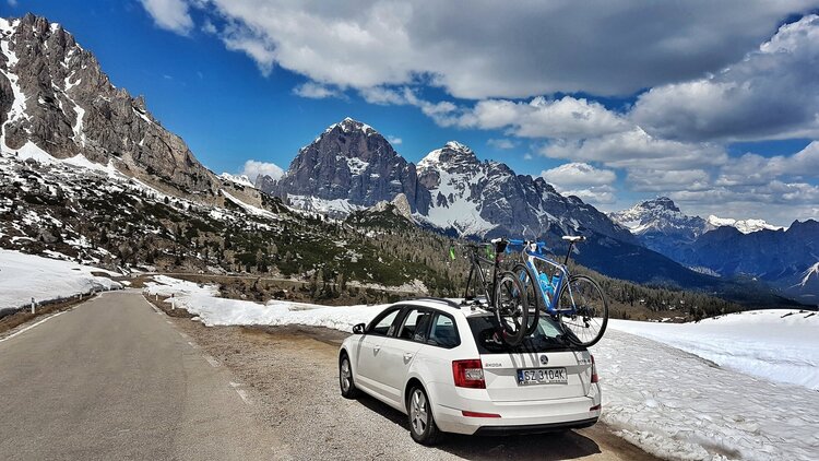 TreeFrog TreeFrog support à vélo model PRO 2