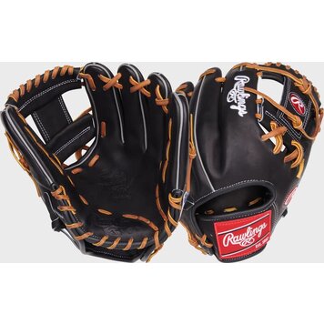 Rawlings RAWLINGS HEART OF THE HIDE PROT204-2B 11.5''