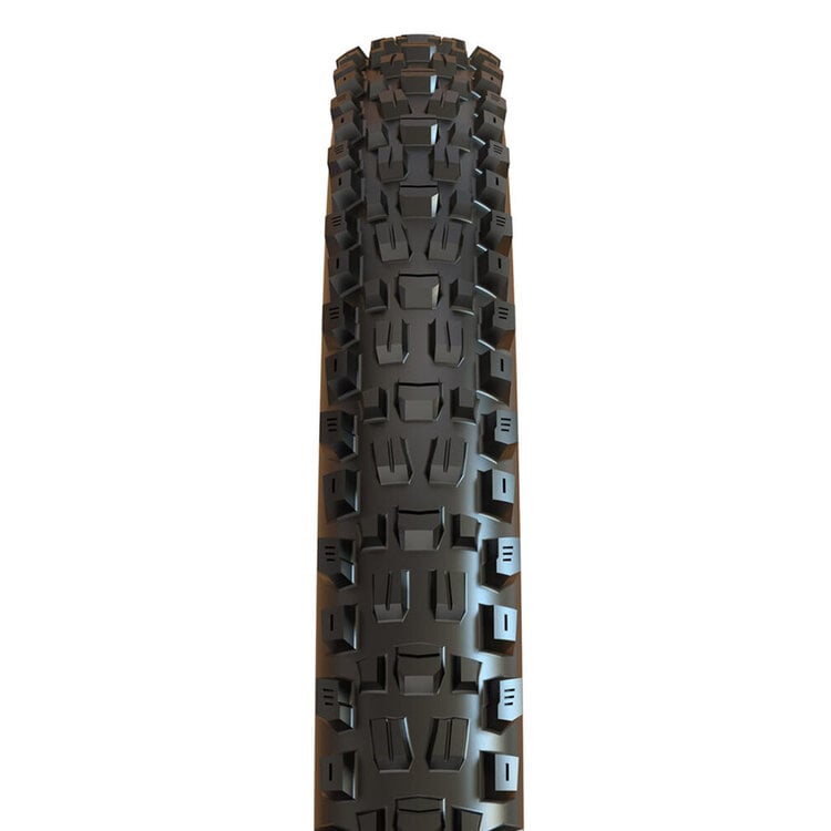 Maxxis MAXXIS ASSEGAI, PLIABLE, TUBELESS READY, EXO, 60TPI