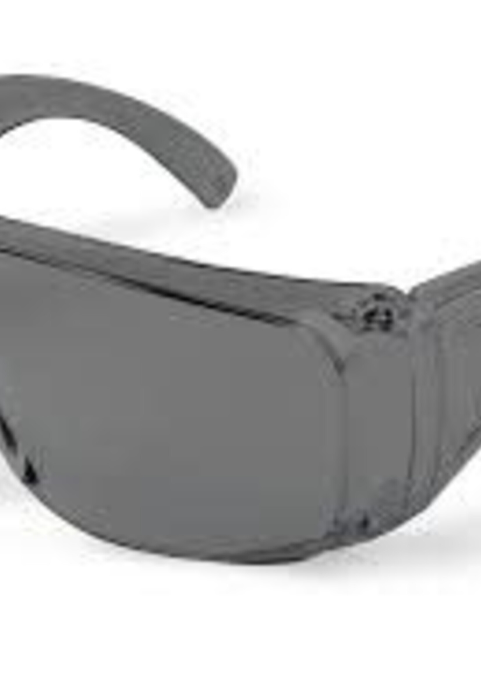 Radians (1029) Radians Chief - Smoke - Over Glasses Safety Glasses Smoke one size