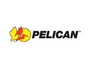 Pelican