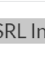 Lifeline/SRL Inspection