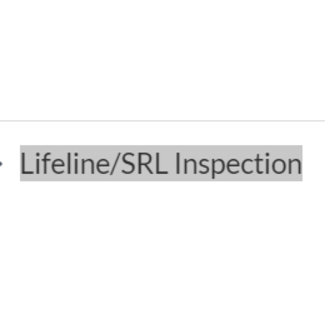 Lifeline/SRL Inspection