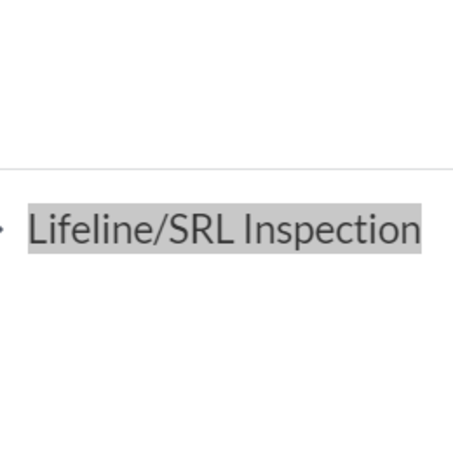 Lifeline/SRL Inspection