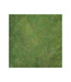 Wapsi BEAVER DUBBING, CADDIS GREEN BD063