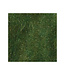 Wapsi LIFE CYCLE DUBBING CADDIS GREEN LCC072