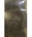 Wapsi ANGORA GOAT, OLIVE AG089