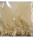 Wapsi STRUNG MARABOU, CREAM (MB002)