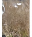 Wapsi STRUNG MARABOU, TAN (MB041)