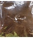 Wapsi STRUNG MARABOU, DARK BROWN (MB073)