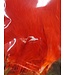 Wapsi STRUNG MARABOU, FL. FIRE ORANGE (MB505)