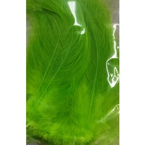 Wapsi NECK HACKLE STRUNG, FL.CHARTREUSE  NH509