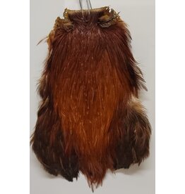 Wapsi DRY FLY ROOSTER NECKS, PRIME, COACH.BROWN DFRN044
