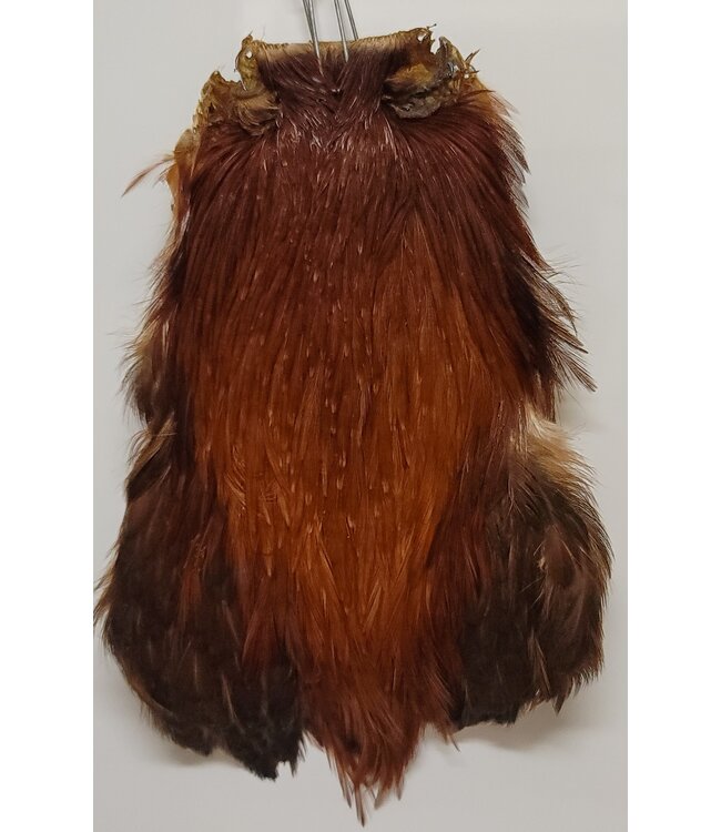 Wapsi (DFRN044) DRY FLY ROOSTER NECKS, PRIME, COACH.BROWN