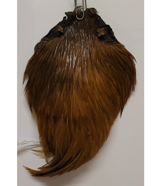 Wapsi DRY FLY ROOSTER NECKS, PRIME, DYED OLIVE DFRN089
