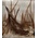 Wapsi DRY FLY NECK HACKLE MINI PACK SM, BROWN NKS227
