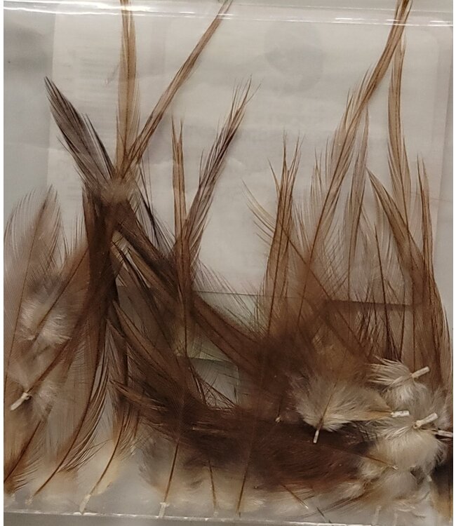 Wapsi (NKS227) DRY FLY NECK HACKLE MINI PACK SM, BROWN