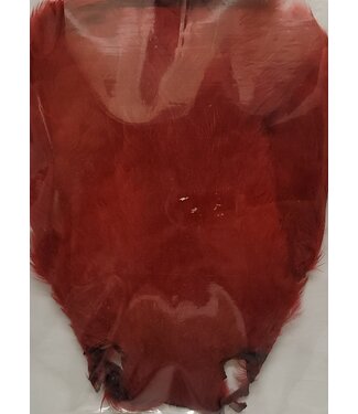 Wapsi SALMON FLY HEN NECK, INDIAN CROW(RED) HS102
