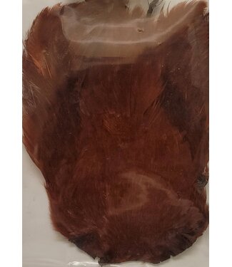 Wapsi SALMON FLY HEN NECK, FIERY BROWN HS110