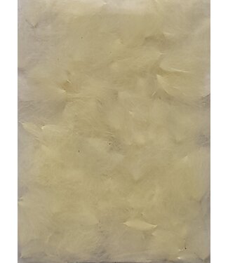 Wapsi (CDP094) C.D.C. PUFFS, CAHILL CREAM