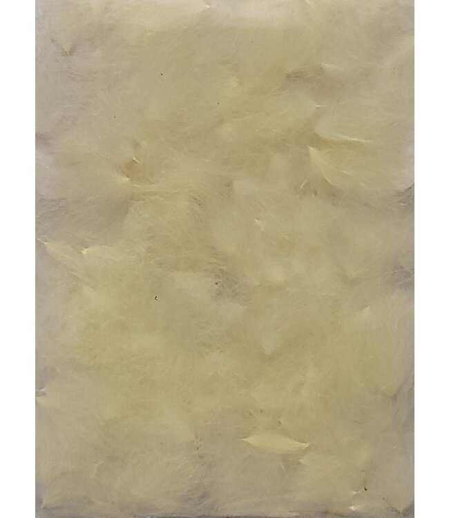 Wapsi (CDP094) C.D.C. PUFFS, CAHILL CREAM