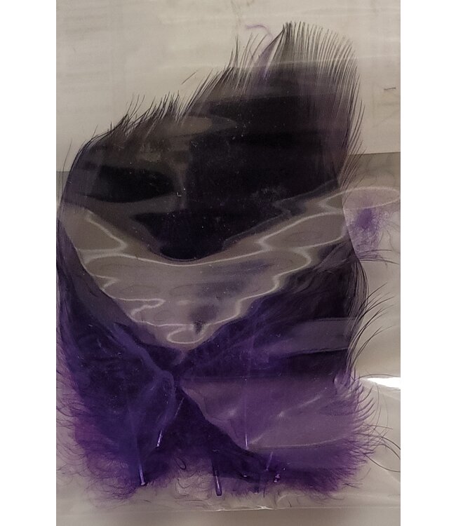 Wapsi GADWALL BARRED FLANK PURPLE MBG092