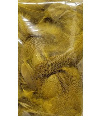 Wapsi (MBF071) MALLARD BARRED FLANK GREEN DRAKE