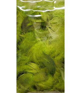 Wapsi (MBF509) MALLARD BARRED FLANK FL CHARTREUSE