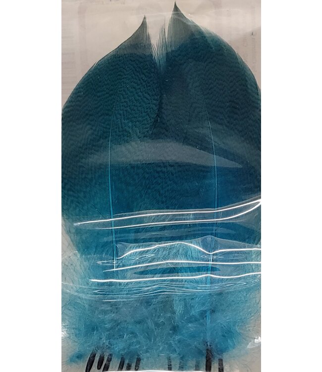 Wapsi MALLARD BARRED FLANK, LRG SELECT PEACOCK BLUE MBS194