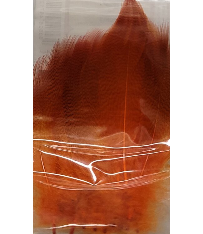 Wapsi MALLARD BARRED FLANK LG SELECT FL.FIRE ORANGE MBS505
