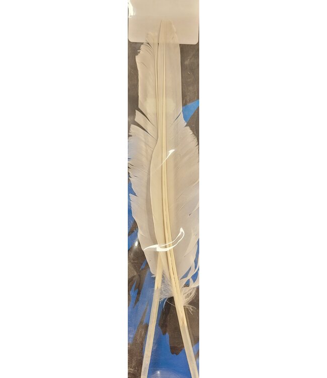 Wapsi GOOSE QUILL, WHITE  GQ001