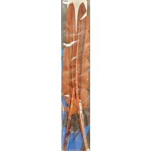 Wapsi GOOSE QUILL, BROWN GQ047