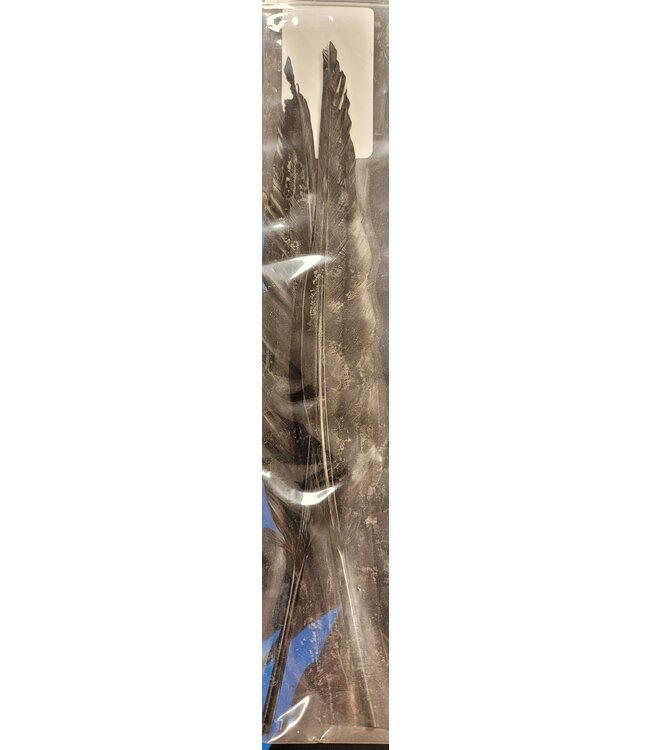 Wapsi GOOSE QUILL, BLACK GQ100