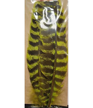 Wapsi (TQQ509) OZARK TURKEY QUILL, FL.CHARTREUSE