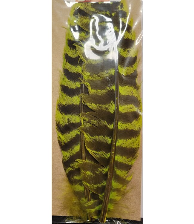 Wapsi (TQQ509) OZARK TURKEY QUILL, FL.CHARTREUSE