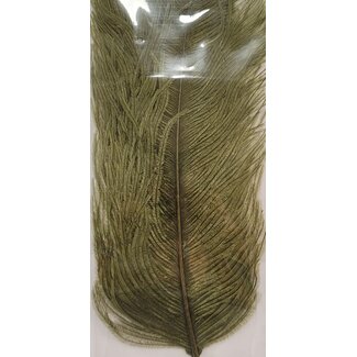 Wapsi OSTRICH PLUMES, OLIVE OP089