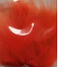 Wapsi (AF505) ARCTIC FOX FUR, FL. FIRE ORANGE