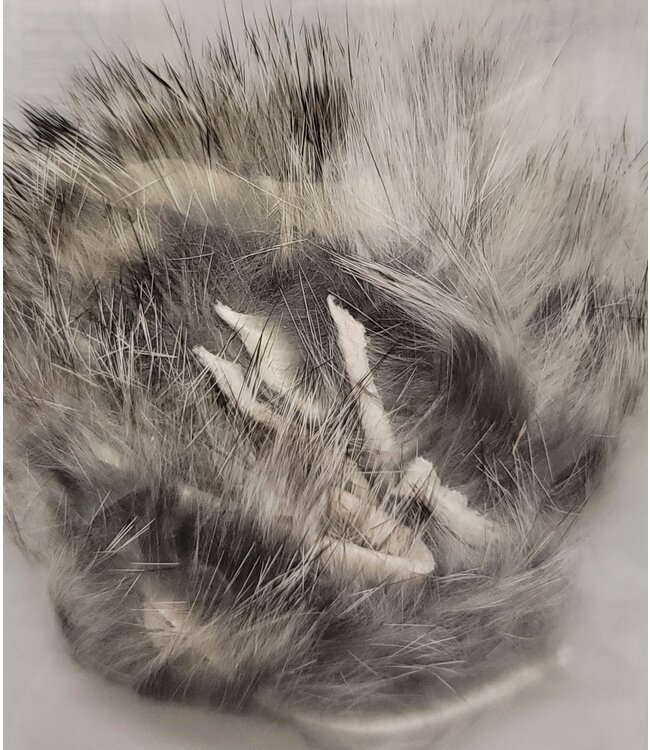 Wapsi (RC235) RABBIT ZONKERS CROSS-CUT, CHINCHILLA