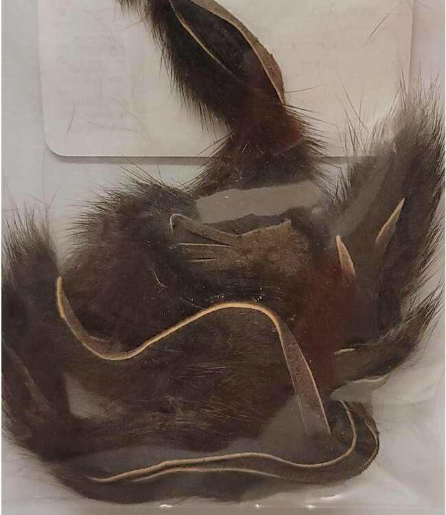 Wapsi (SSS047) MICRO PINE SQUIRREL ZONKERS BROWN