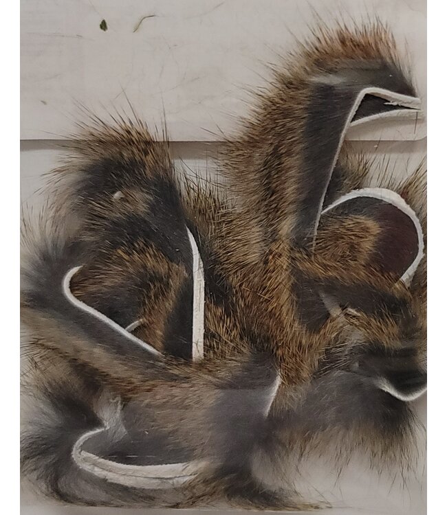 Wapsi (SSZ221) SQUIRREL ZONKERS NATURAL, PINE