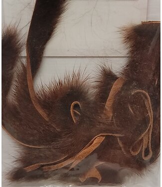 Wapsi (SSZ153) SQUIRREL ZONKERS PINE, RUST