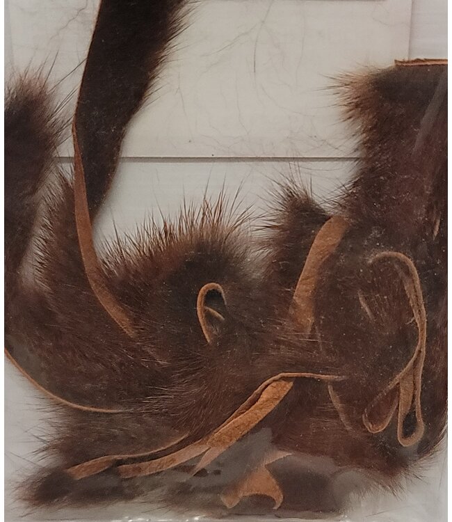 Wapsi (SSZ153) SQUIRREL ZONKERS PINE, RUST