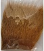 Wapsi (DBH050) DEER BODY HAIR, GOLDEN BROWN