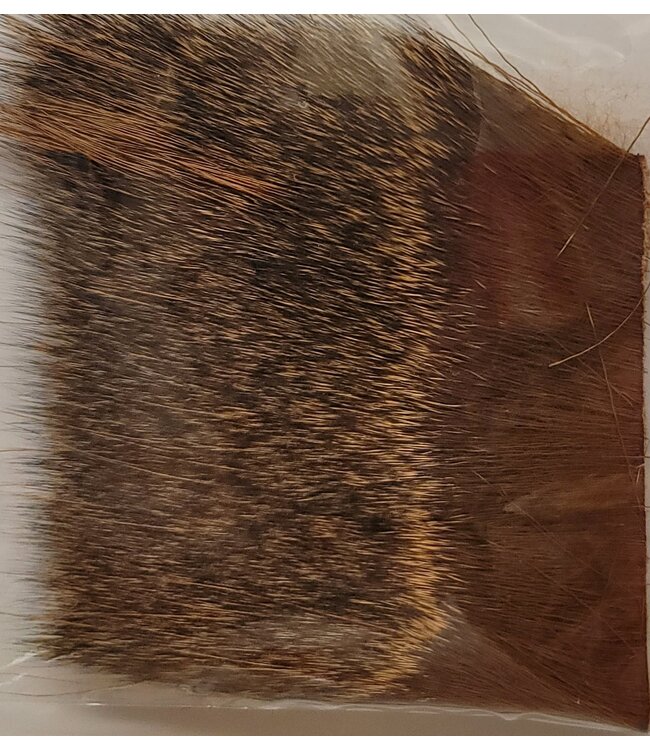 Wapsi (DBH051) DEER BODY HAIR, RUSTY BROWN
