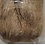 Wapsi ELK BODY HAIR, LIGHT (BULL)  (EBN229)