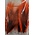 Wapsi BUCKTAIL PIECES, ORANGE  (BTP012)