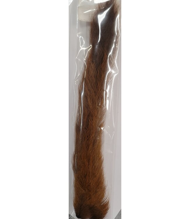 Wapsi KIPTAIL, BROWN