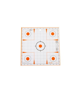 Allen 15333 EZ Aim 12x12 Sight In