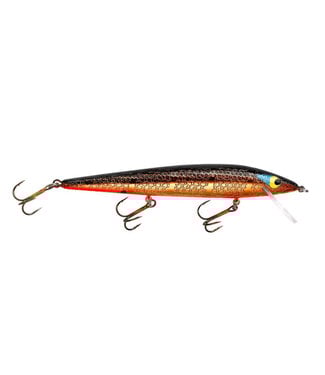 Smithwick SMITHWICK RATTLIN  FLOATING ROGUE 4-1/2" 1/3 OZ DEPTH 0'-2' GOLDEN ROGUE
