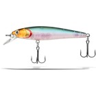 Dynamic Lures DYNAMIC LURES J-SPEC GHOST FISH  JS17